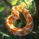 Sticky Image