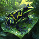 Sticky Image