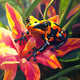 Sticky Image