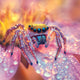 Sticky Image