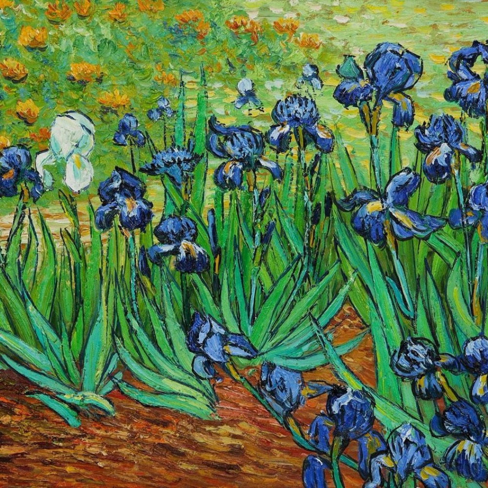 Irises by Vincent van Gogh